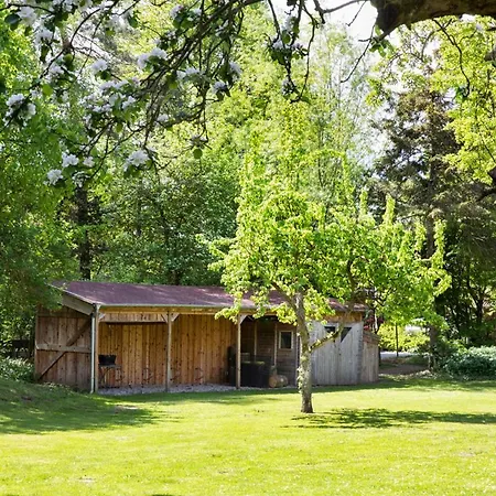 Kutscherhaus - Kutscher Johann Apartman Manhagen